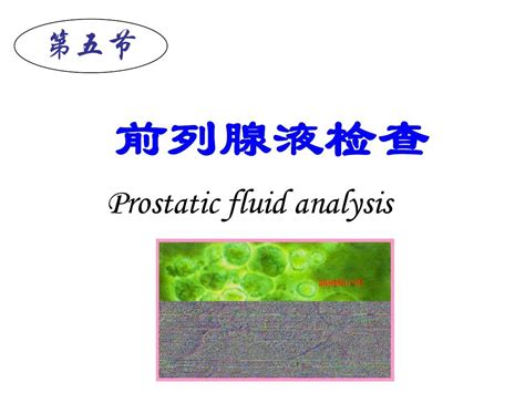 龜頭流水|前列腺液